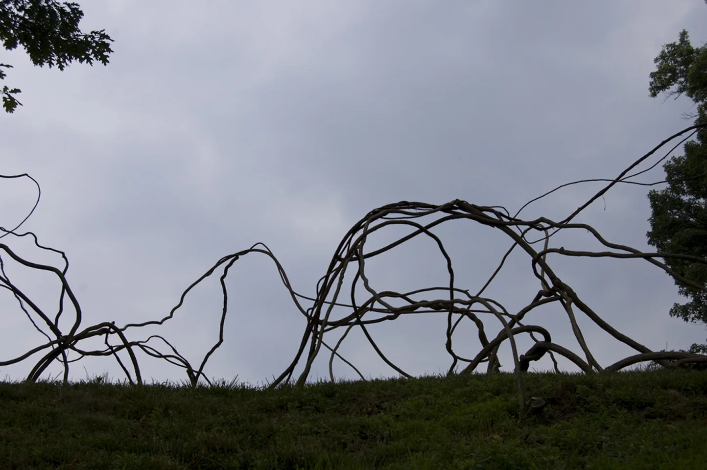 Art in the Open 2011