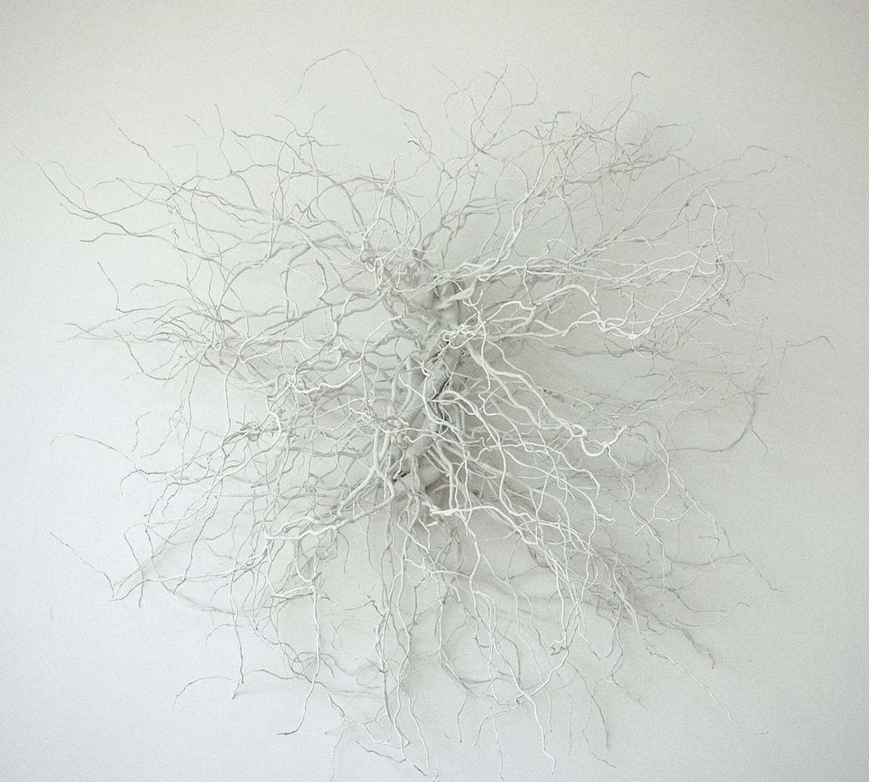 Radiate 2014 braided curly willow branches, bittersweet vine, acrylic with marble dust, glue 
