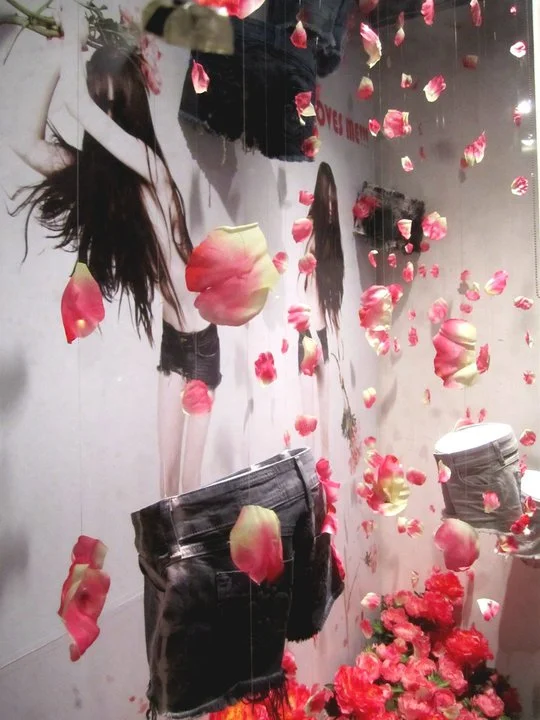Window Displays