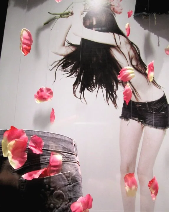 Window Displays