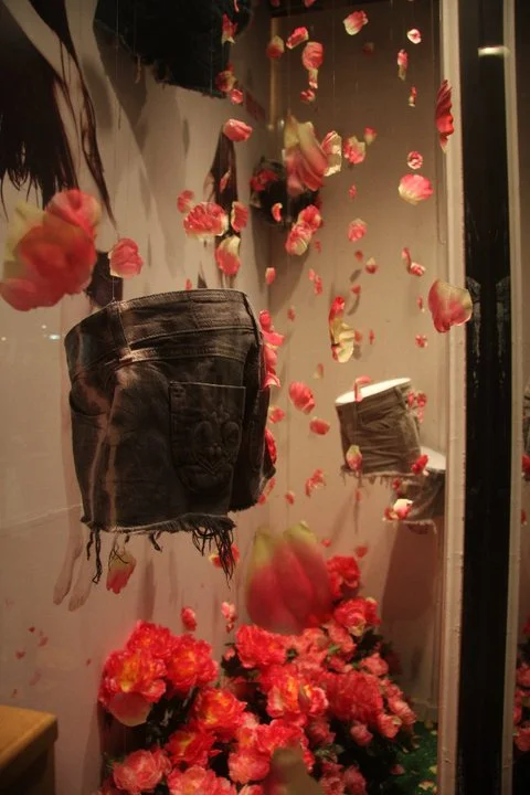 Window Displays
