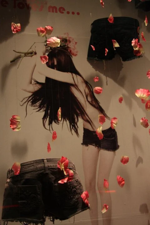 Window Displays