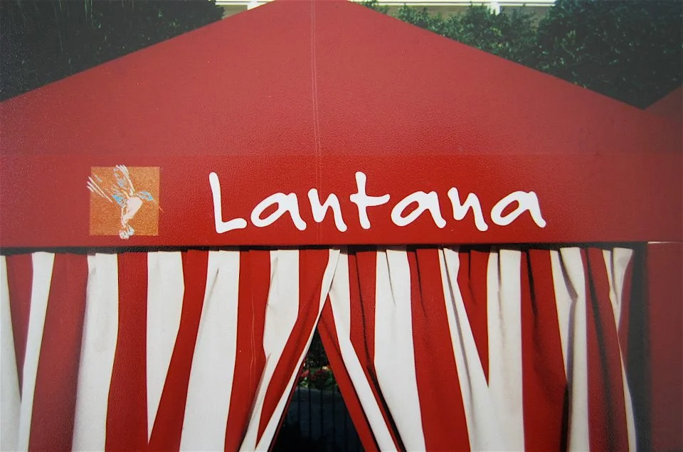 Hand Lettering on Pool Side Cabanas
