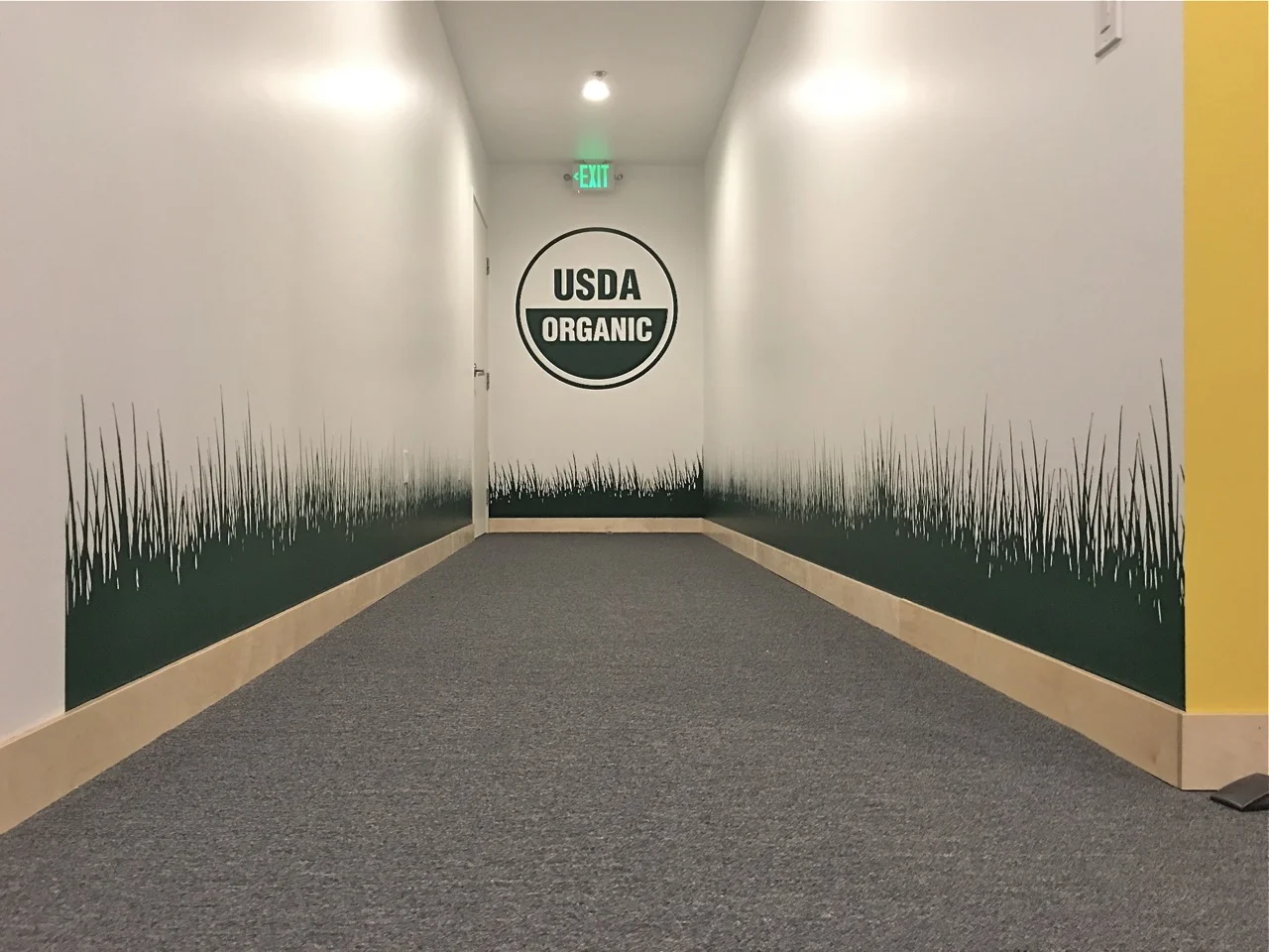 Wall Certification with Grass texturing