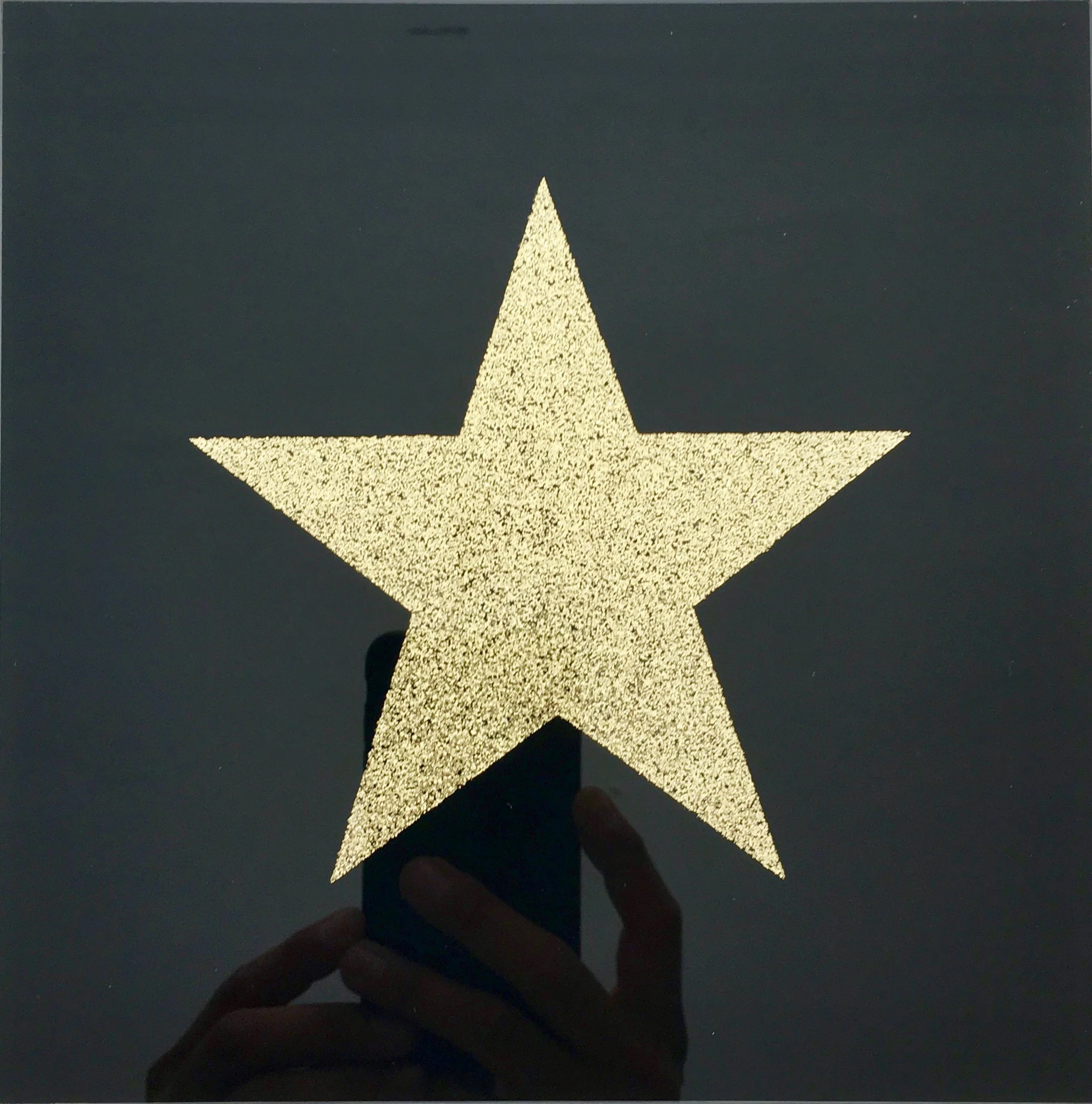 STAR XX.jpg