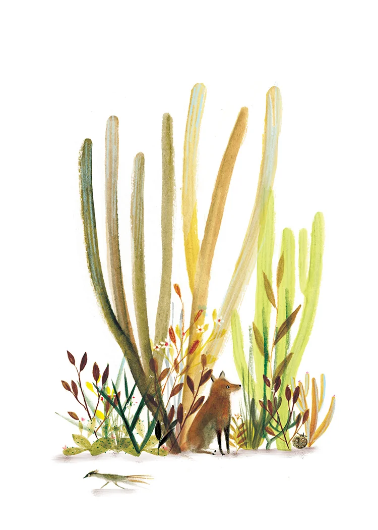 Cactus Scene