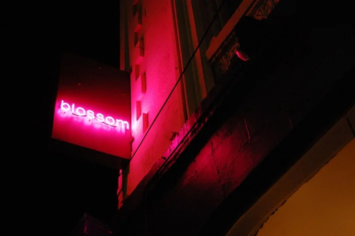 blossom.JPG