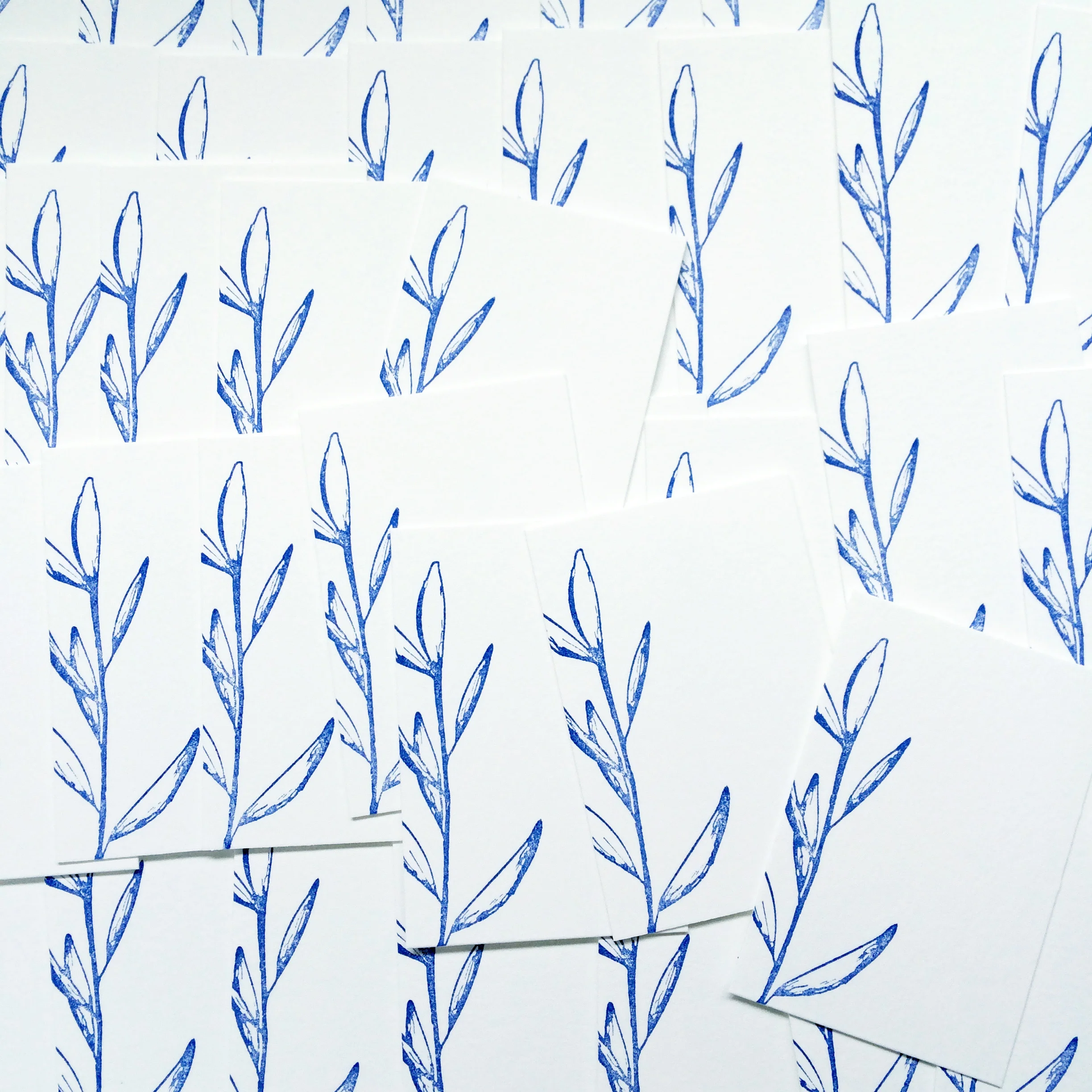 Olive Branch Invitation / Paper & Type