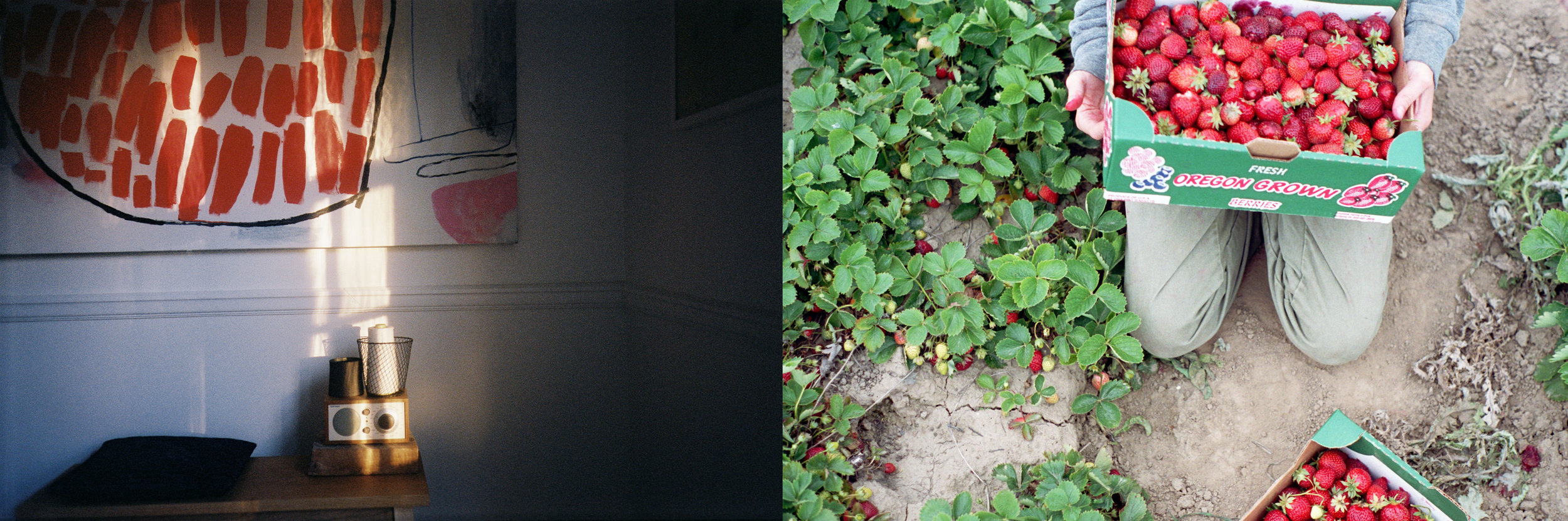 A Year Between Friends / 3191 Miles Apart