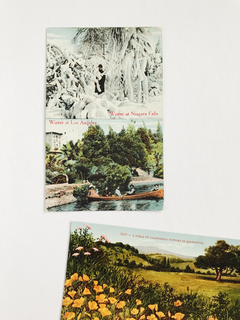 Vintage Postcard Finds / Paper & Type