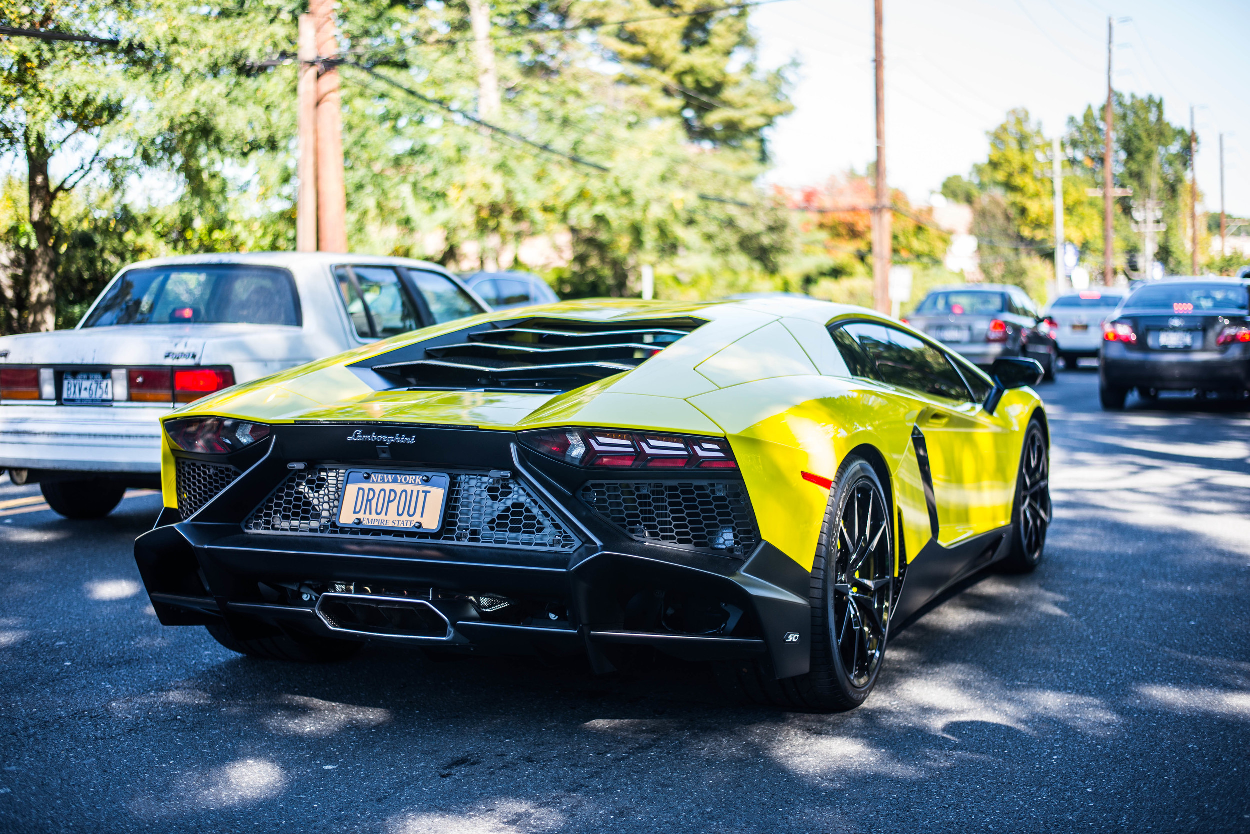 DSC_5611.jpg