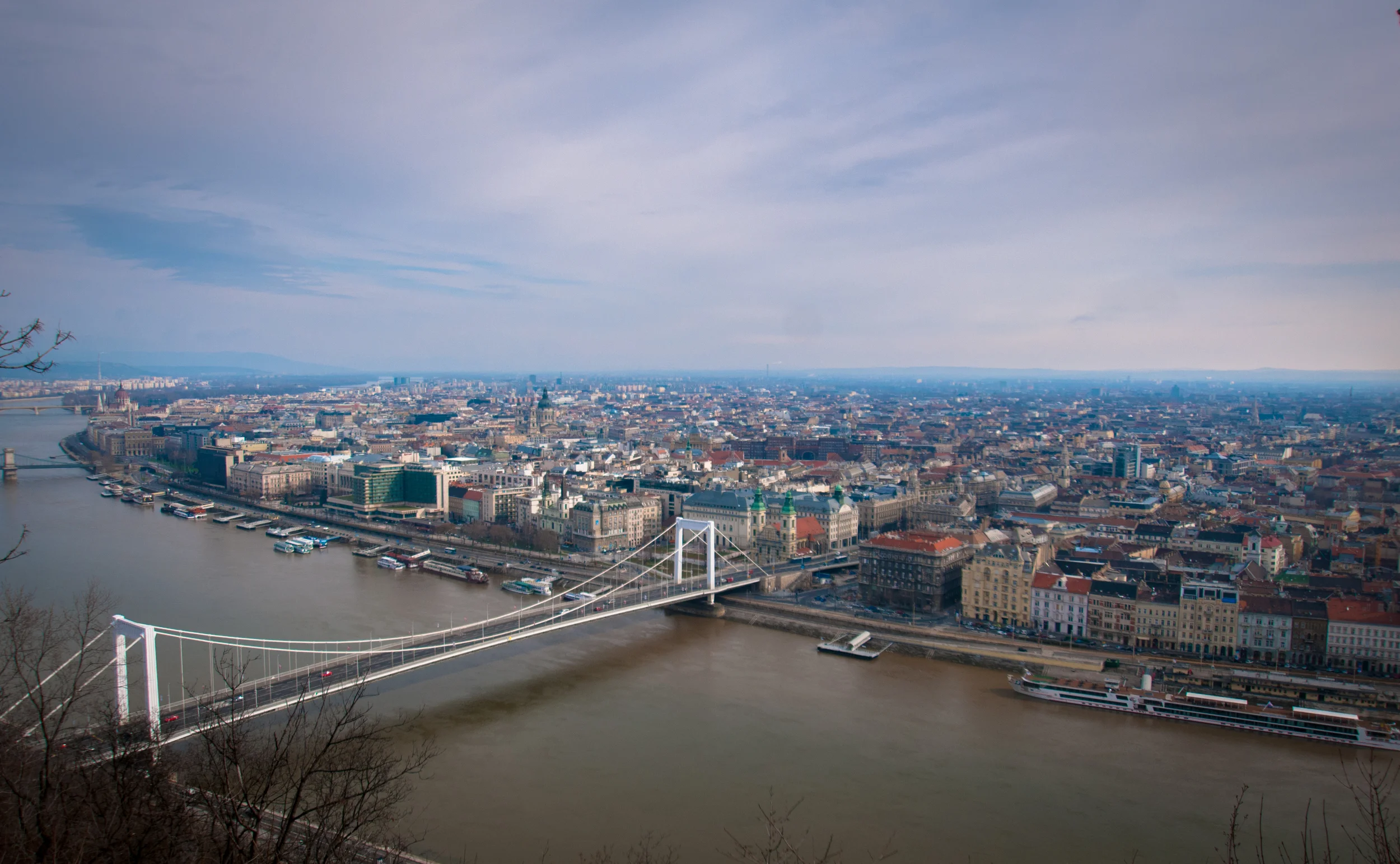 DSC_4024.jpg