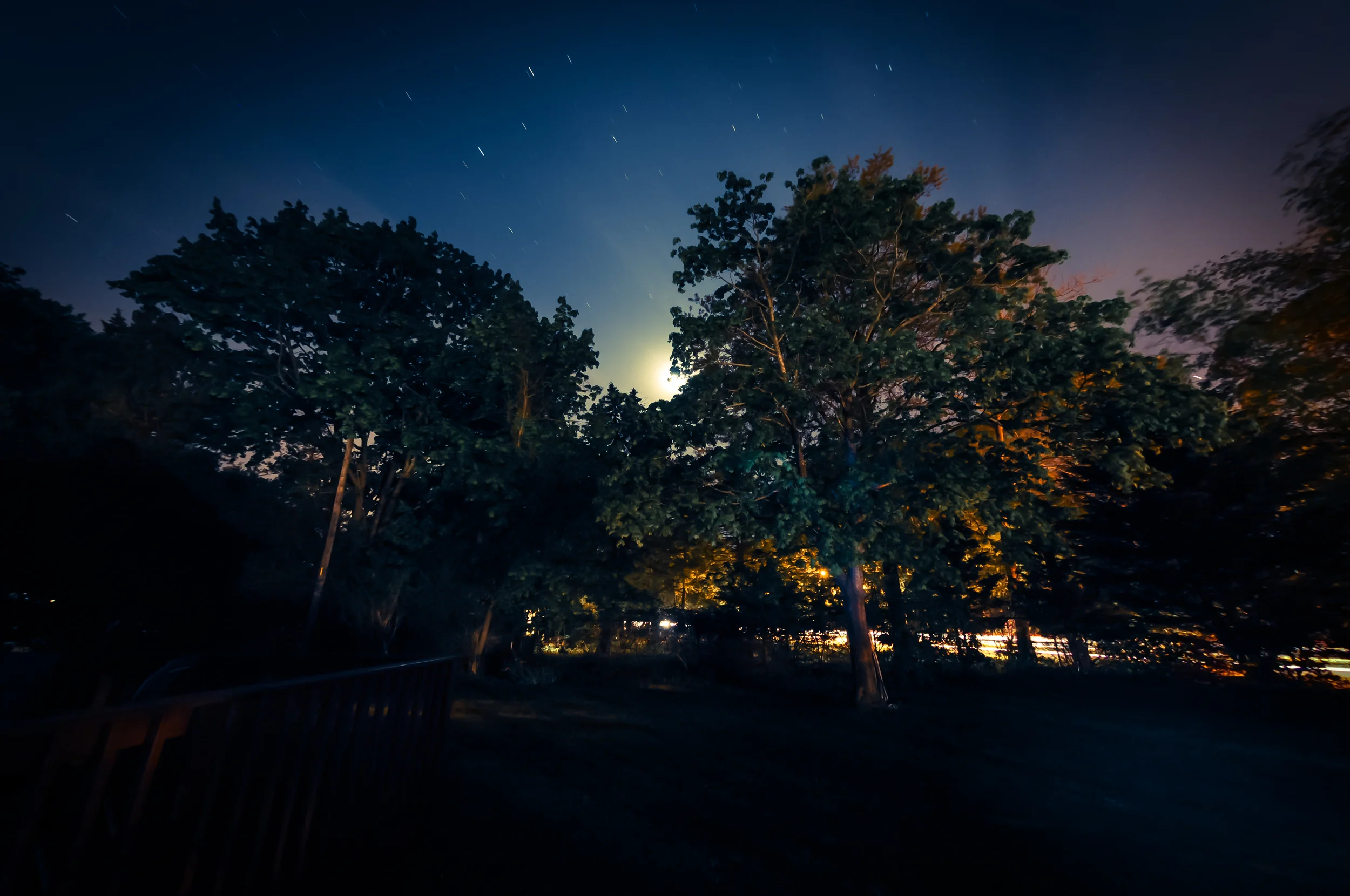 DSC_5470.jpg