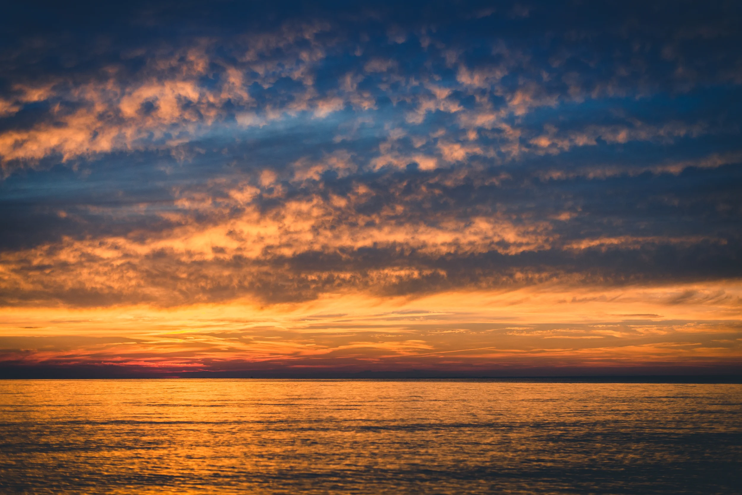 DSC_0414.jpg