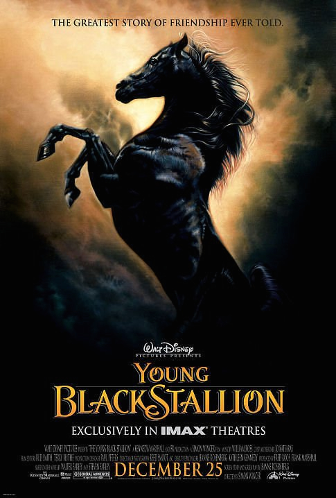 2003-Young Black Stallion.jpg