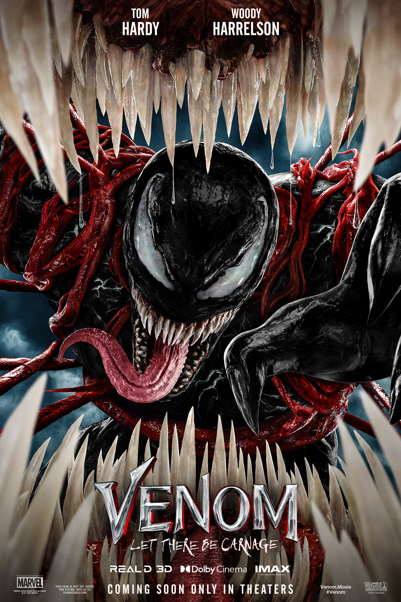 2021-Venom2-02.jpeg