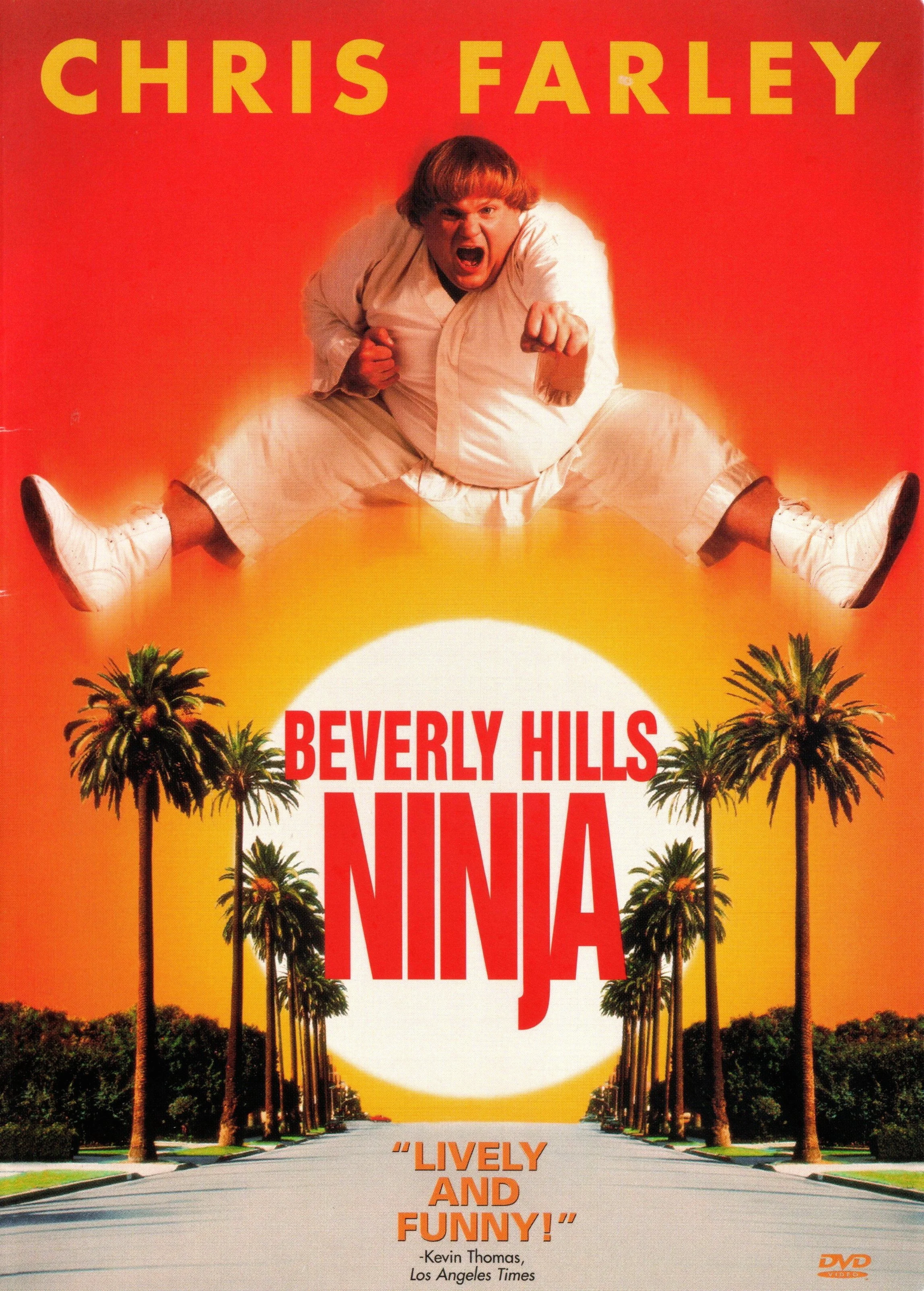 1997-Beverly Hills Ninja.jpg