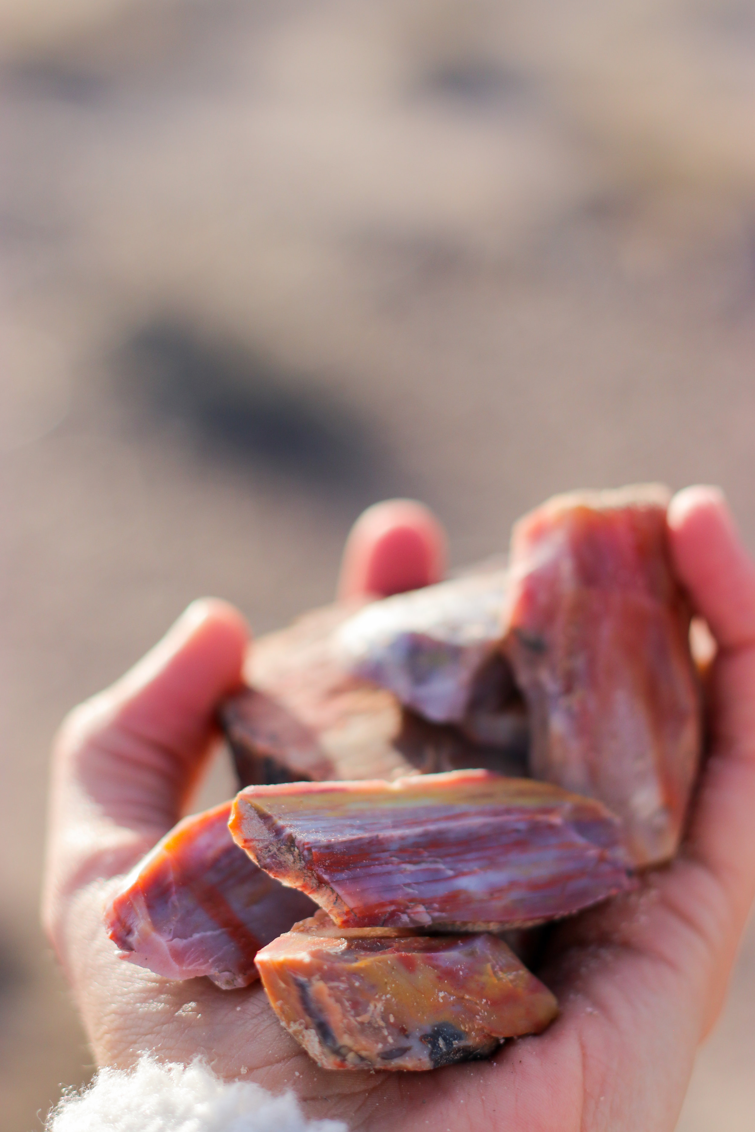 Arizona, You Shattered My Ego.