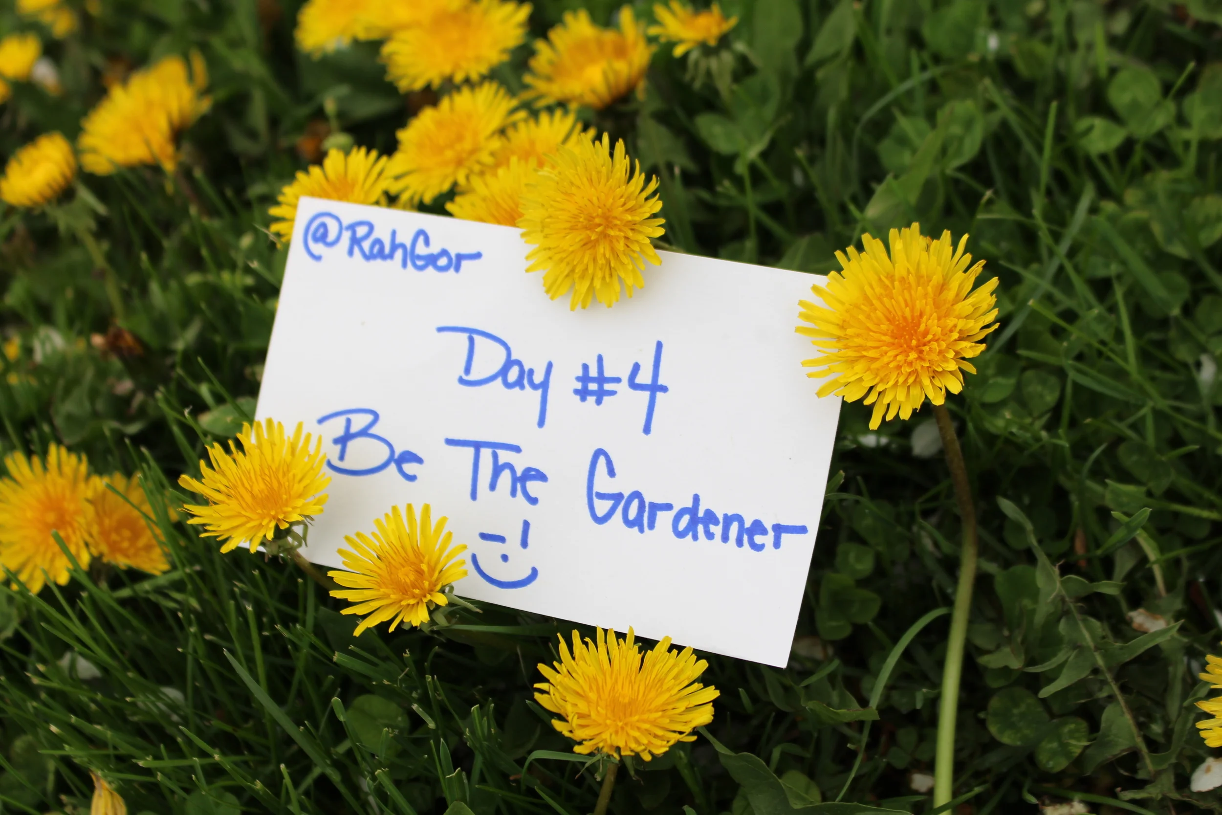 Be The Gardener (Day 4 of 21 Days of Greatness)