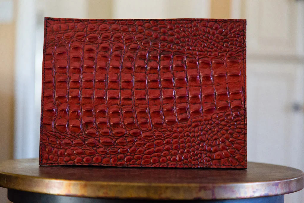 iPad Sleeve