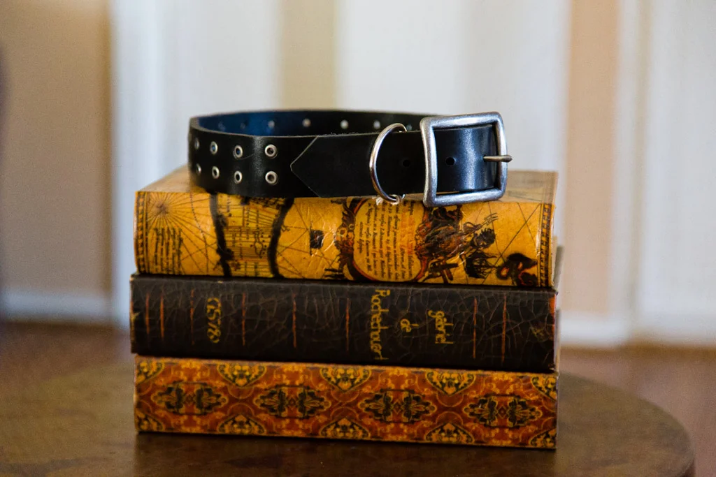 Leather Dog Collar