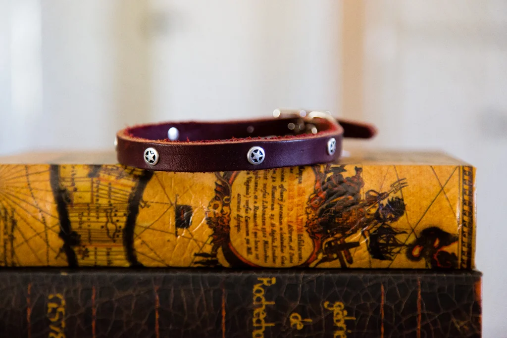 Leather Dog Collar