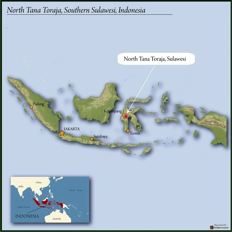 NorthTanaTorajaSouthernSulawesiIndonesia.jpg