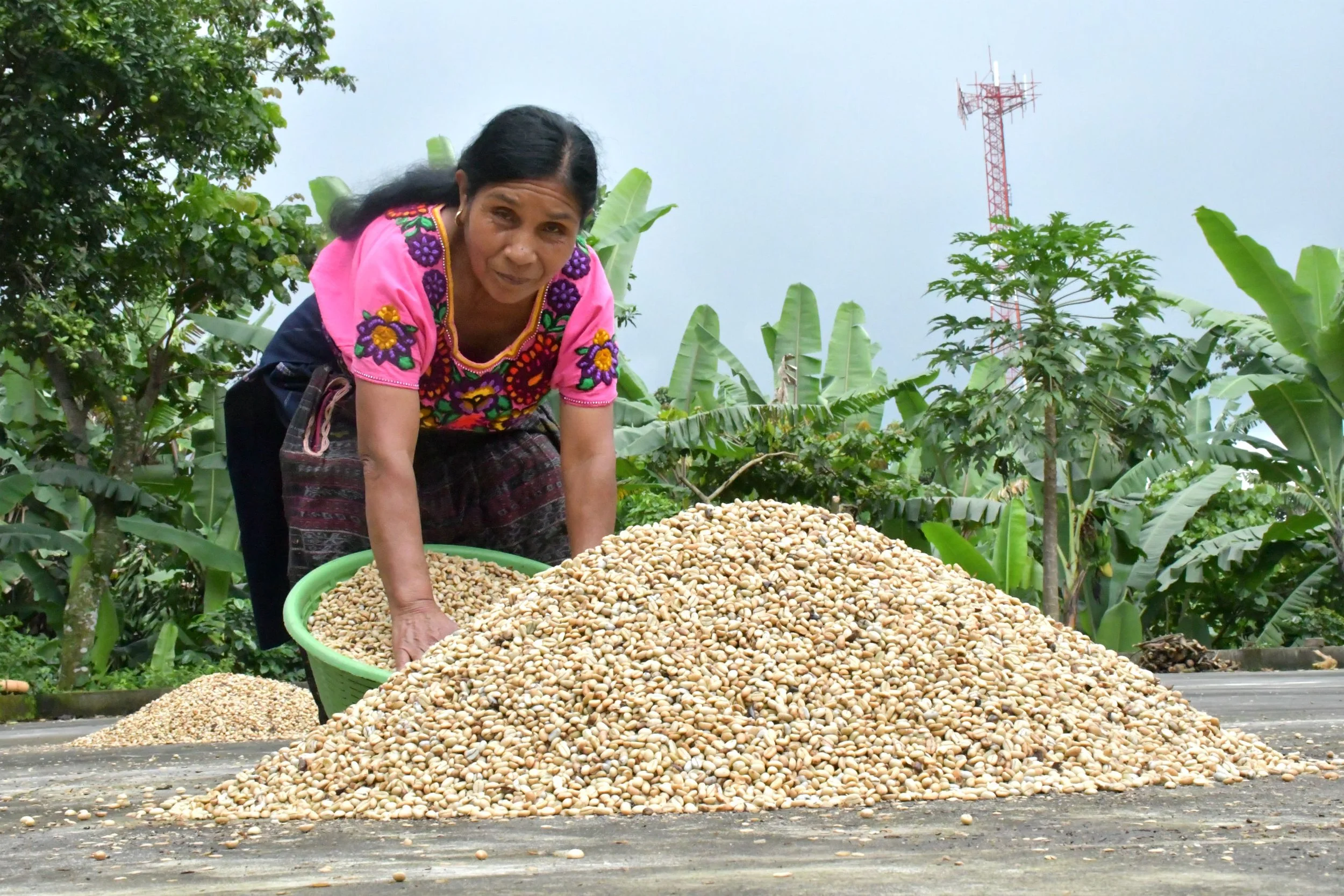 Guatemala-Renacimiento1.jpg