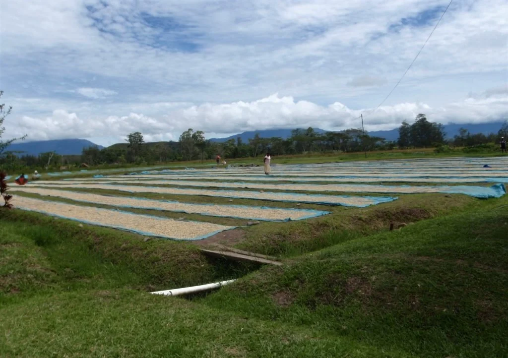 Papua-New-Guinea-Organic-Siane-Chimbu1-1024x722.jpg
