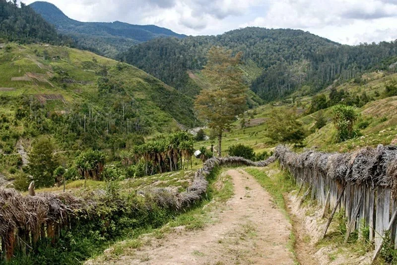 papau-new-guinea-coffee.jpg