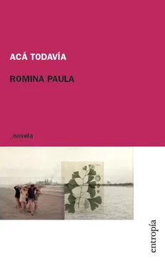 todavia366.jpg