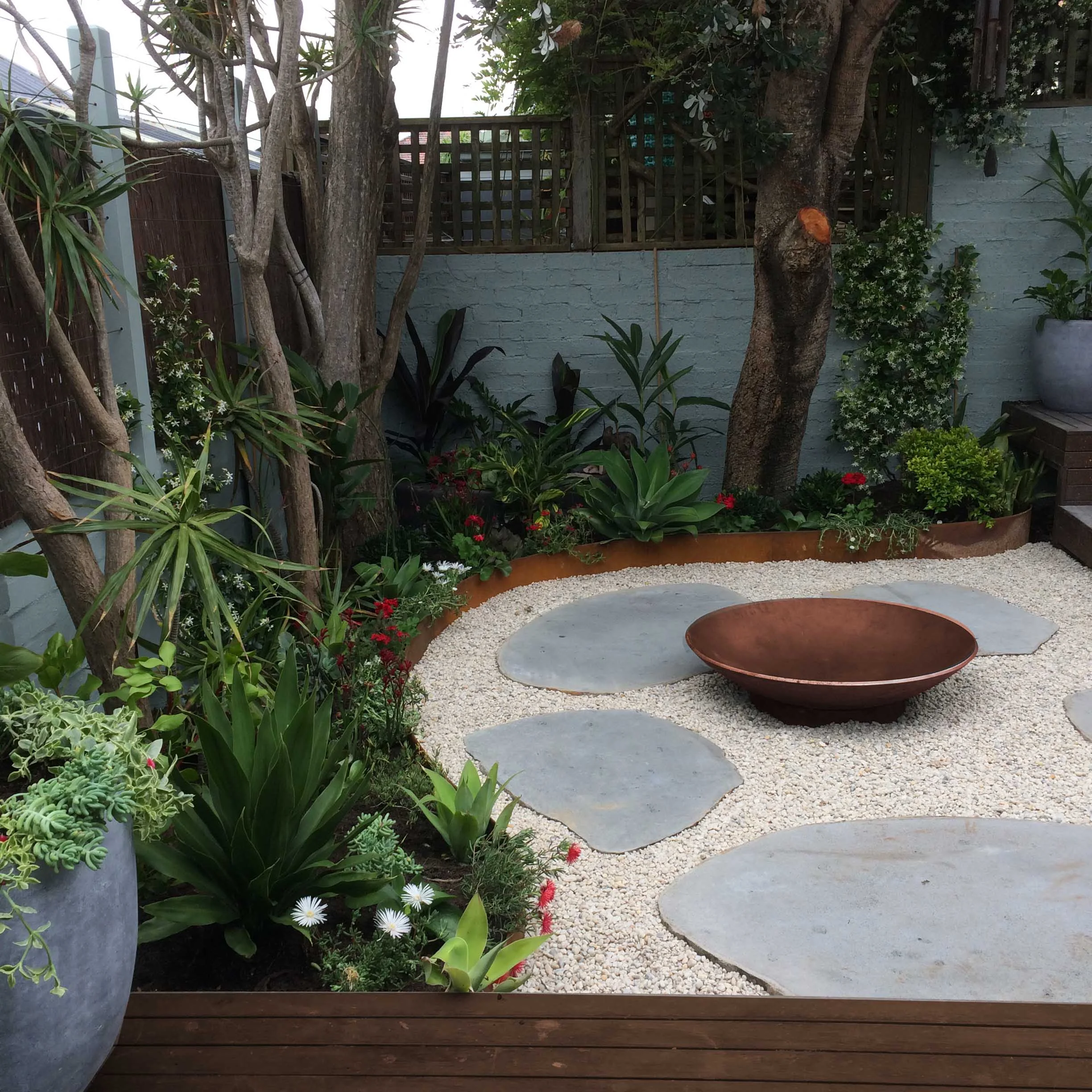 Courtyard Garden, Bondi Beach