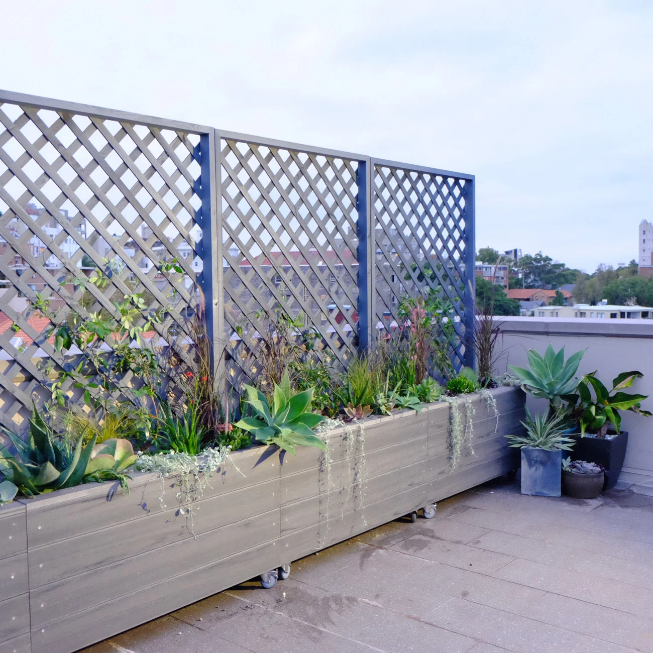 Rooftop Garden, Darling Point