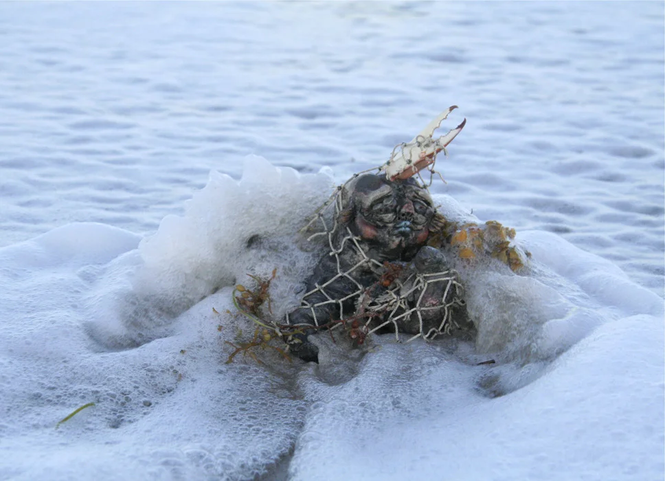 Tanglepus, 2013