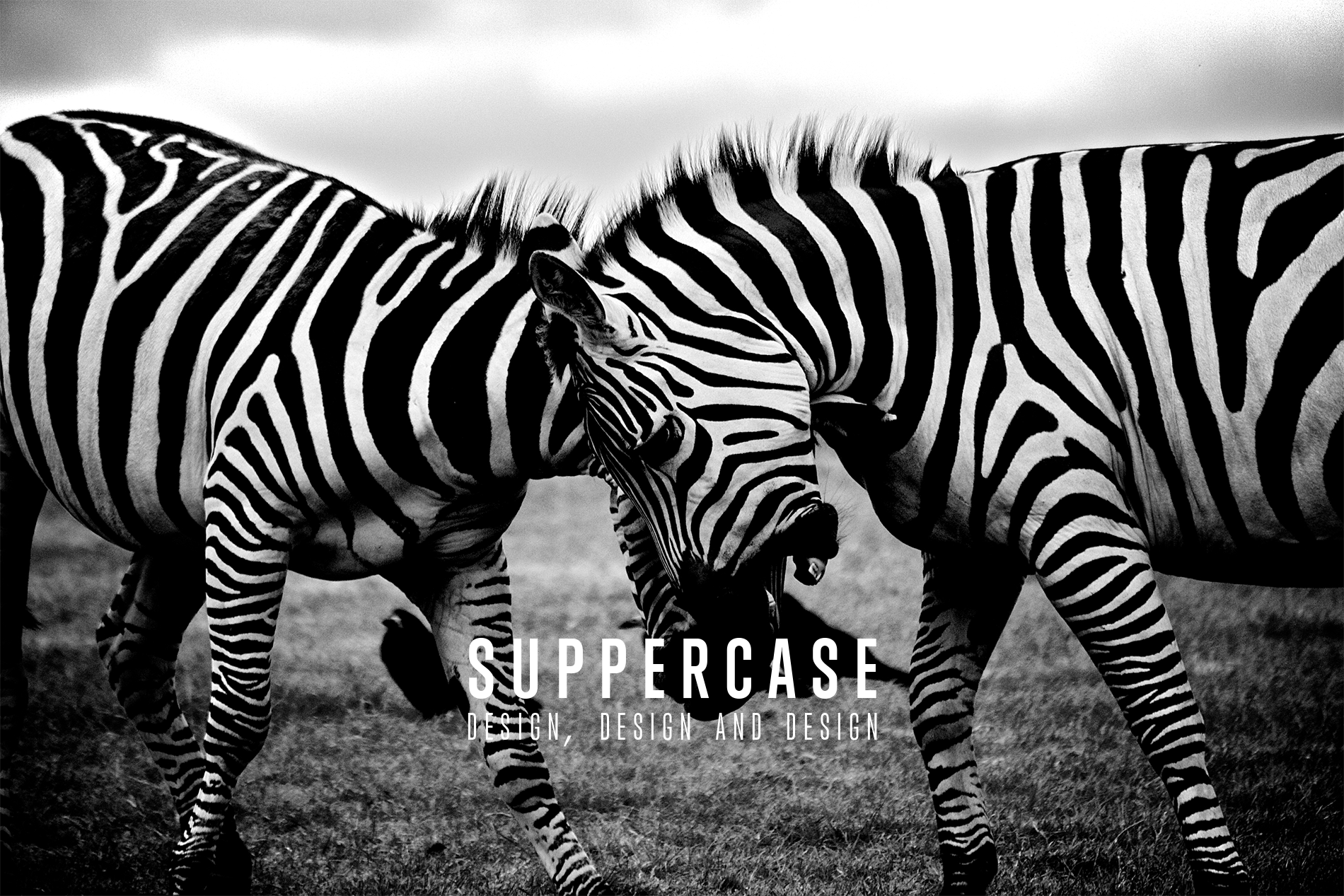 SUPPERCASE_Fond.png