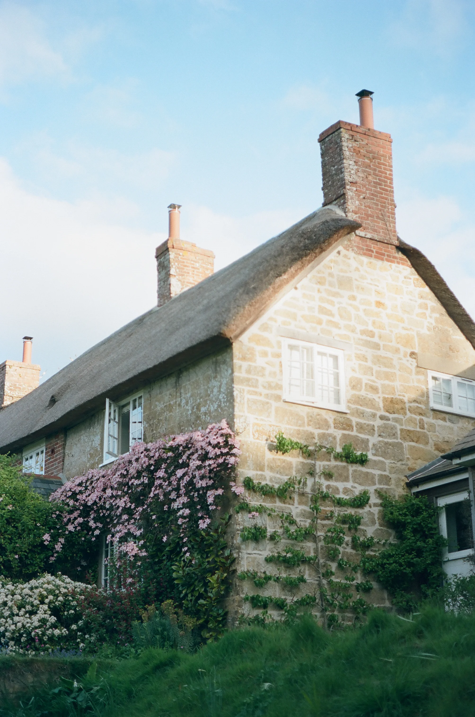 Dorset_2017-000038360012.jpg