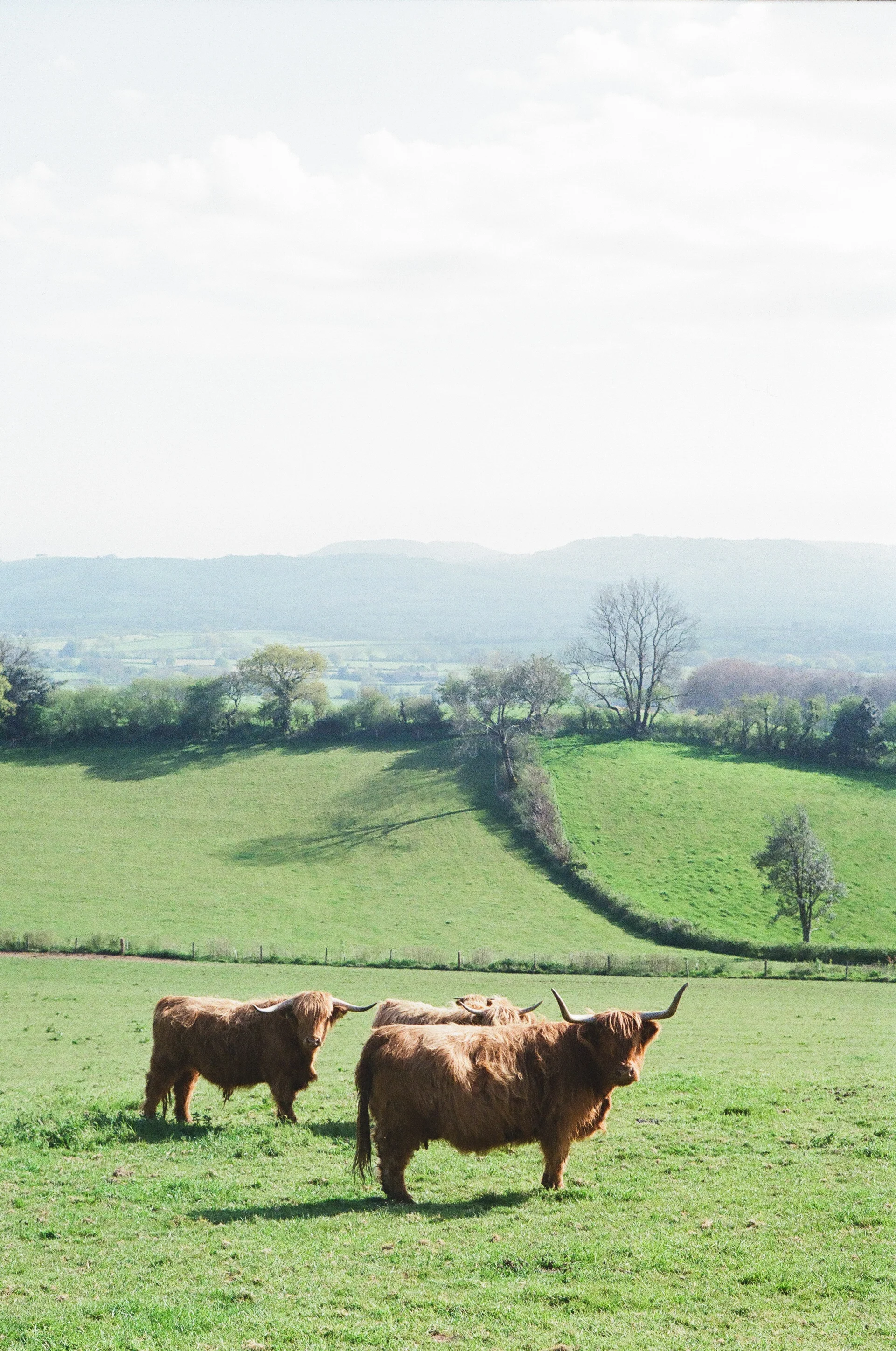 Dorset_2017-000038410038.jpg