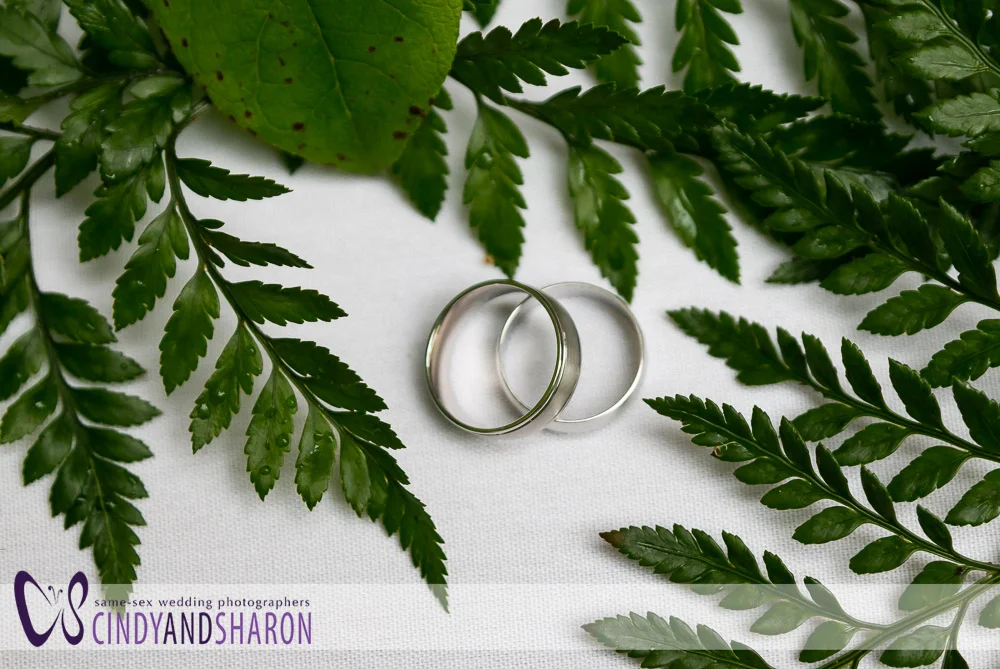 Athens-Ga-gay-wedding-rings