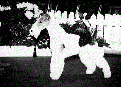 Mspecialstrike.gif