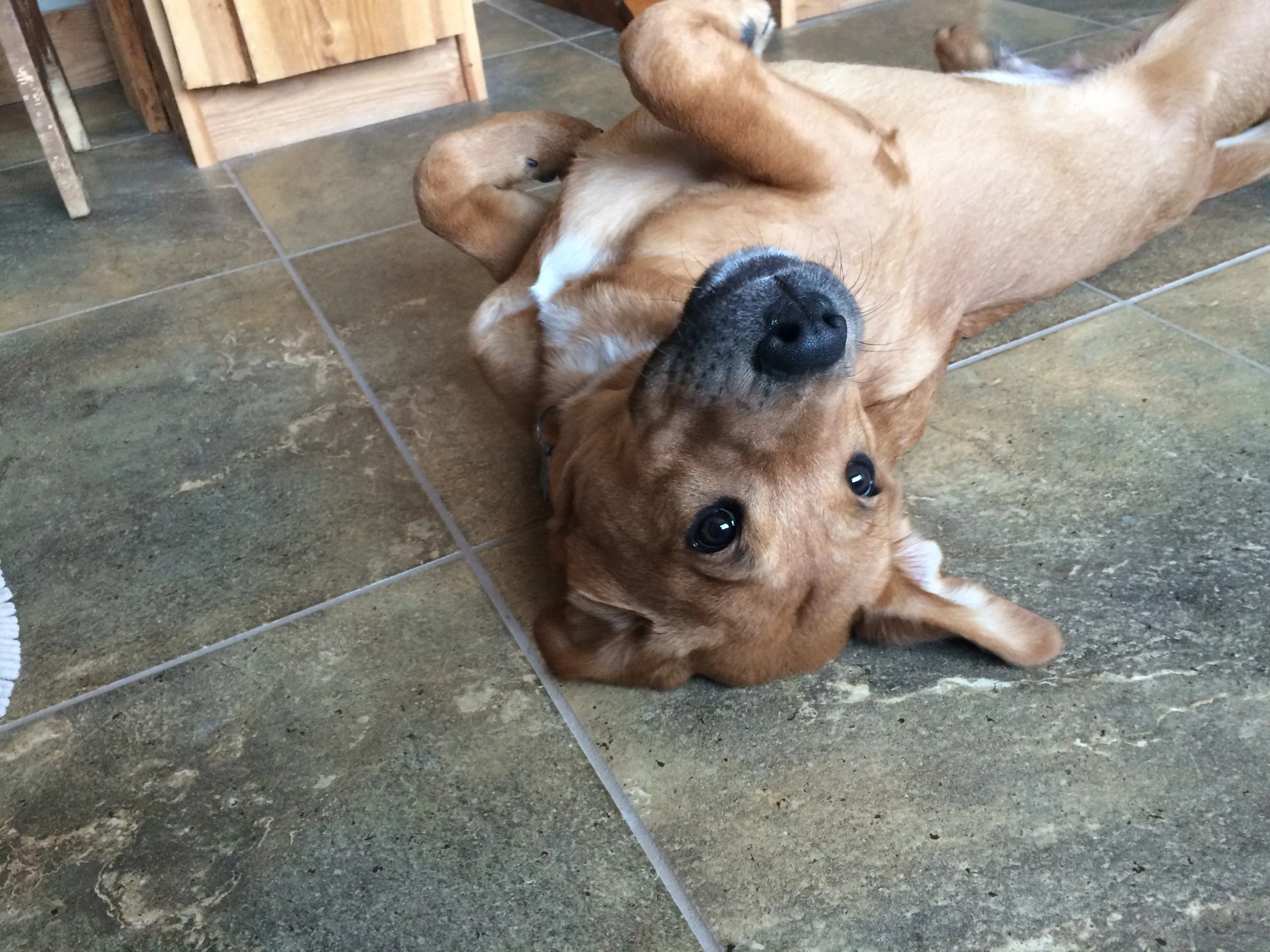 Heated flooring for bathrooms