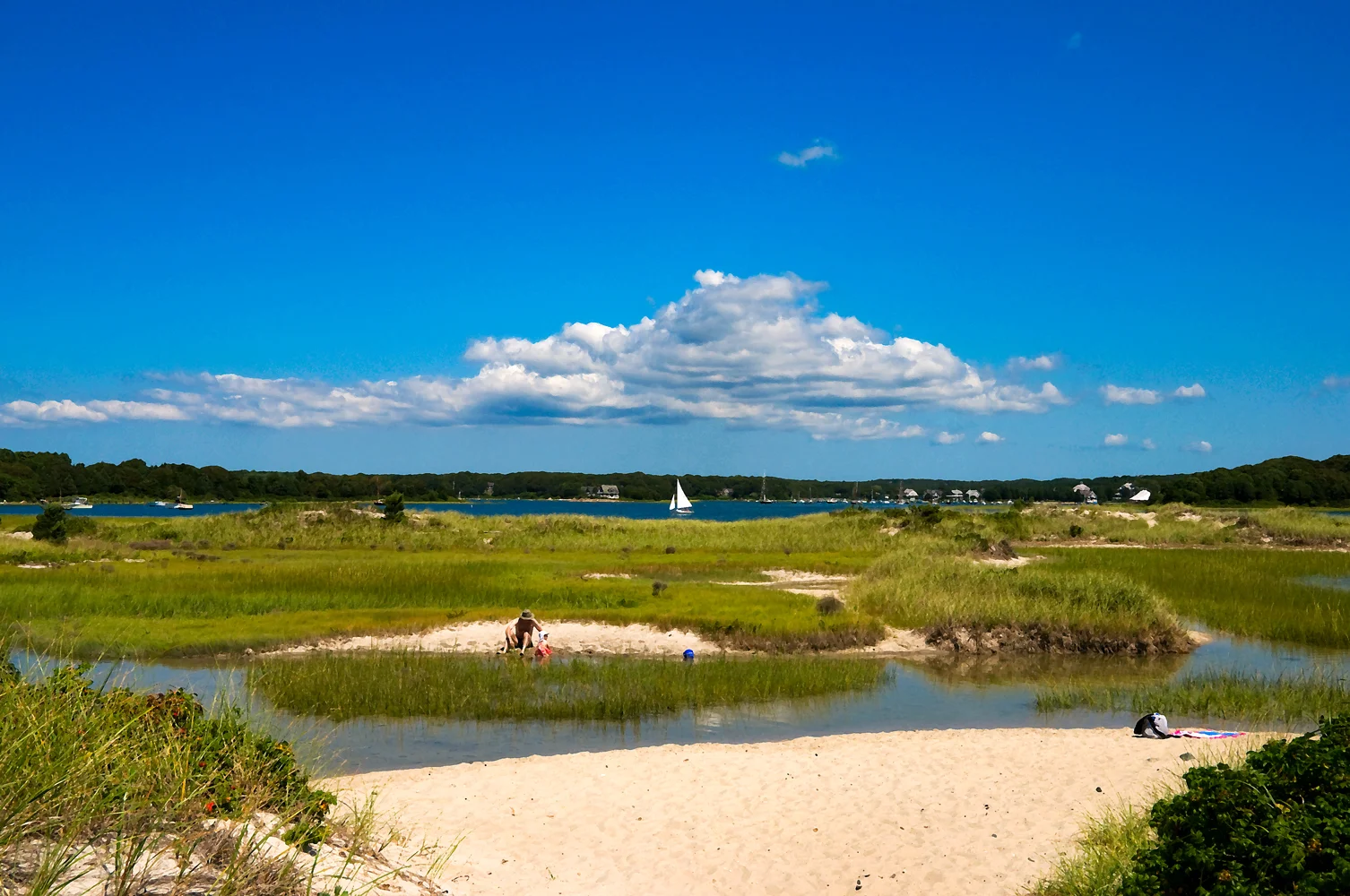 sailboat on west falmouth harbor_full.jpg