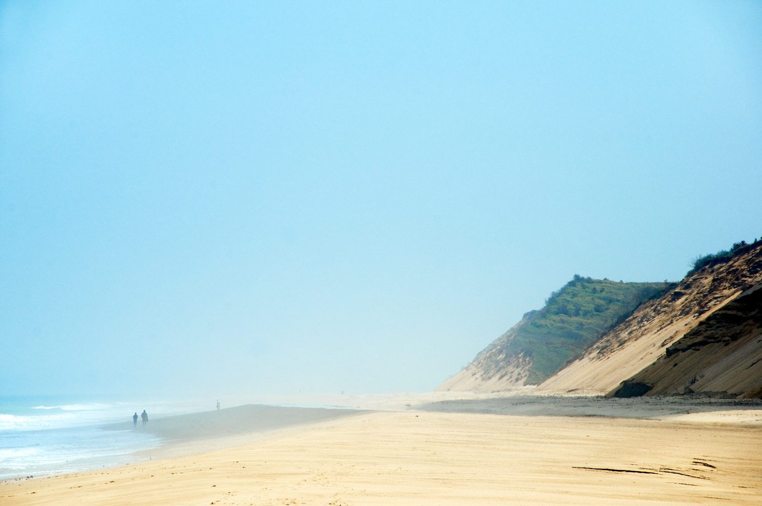 Fog at Newcomb Hollow