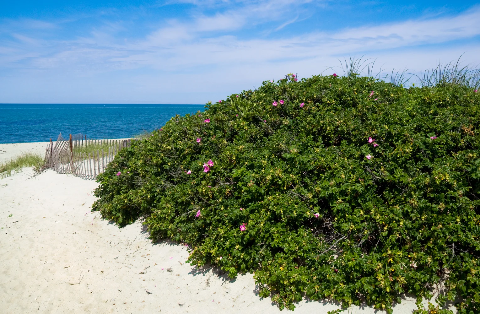 At Fisher Beach