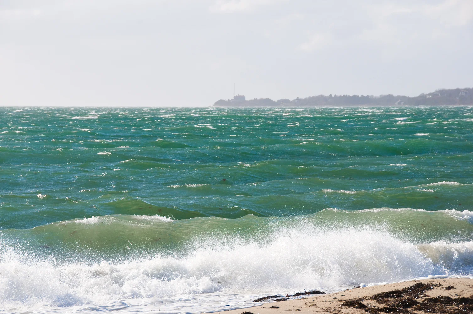 Nobska in the Wind