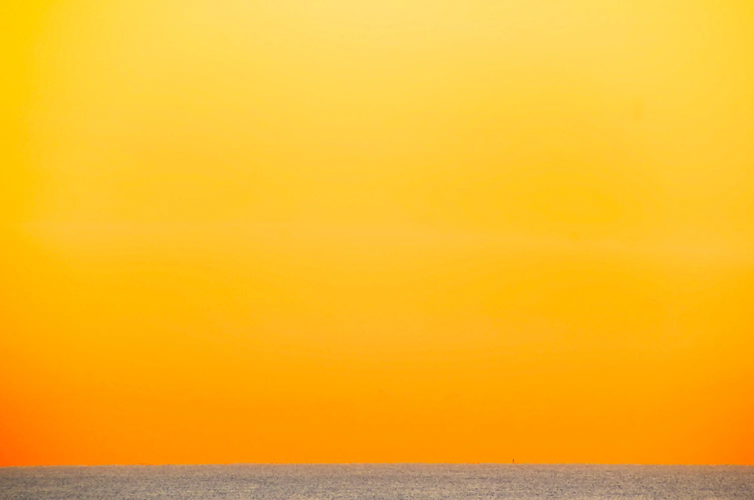 Dawn Light