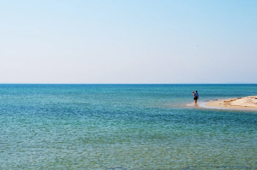 Shoreline