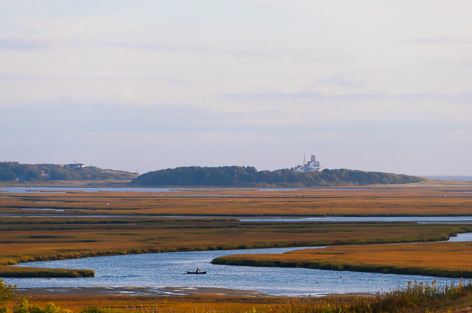 Morning on Salt Pond