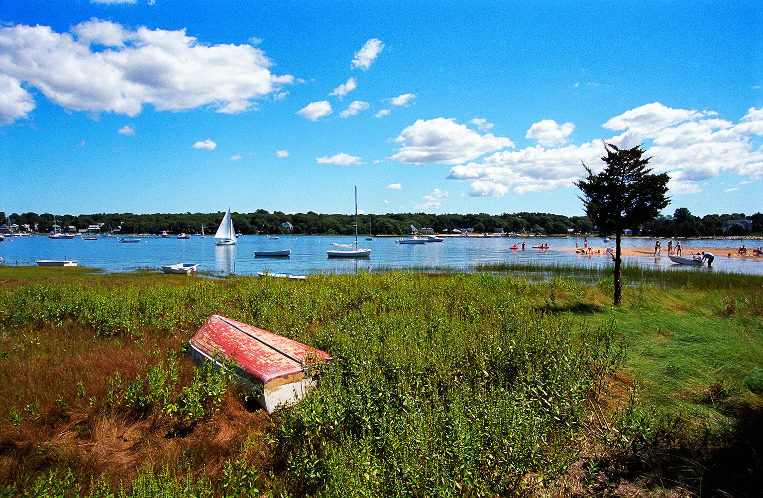 Beach Day at Hen Cove