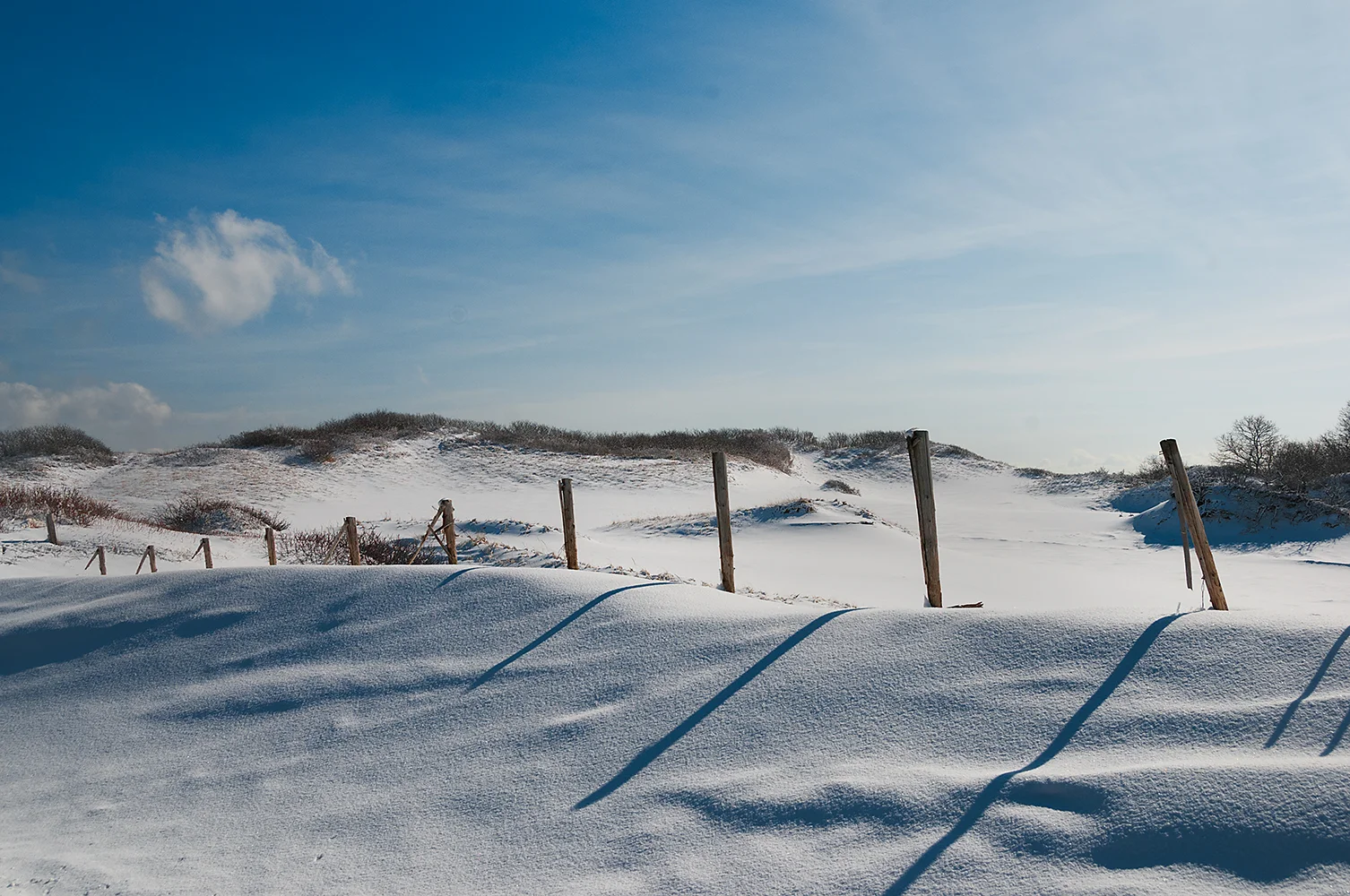 Winter Light