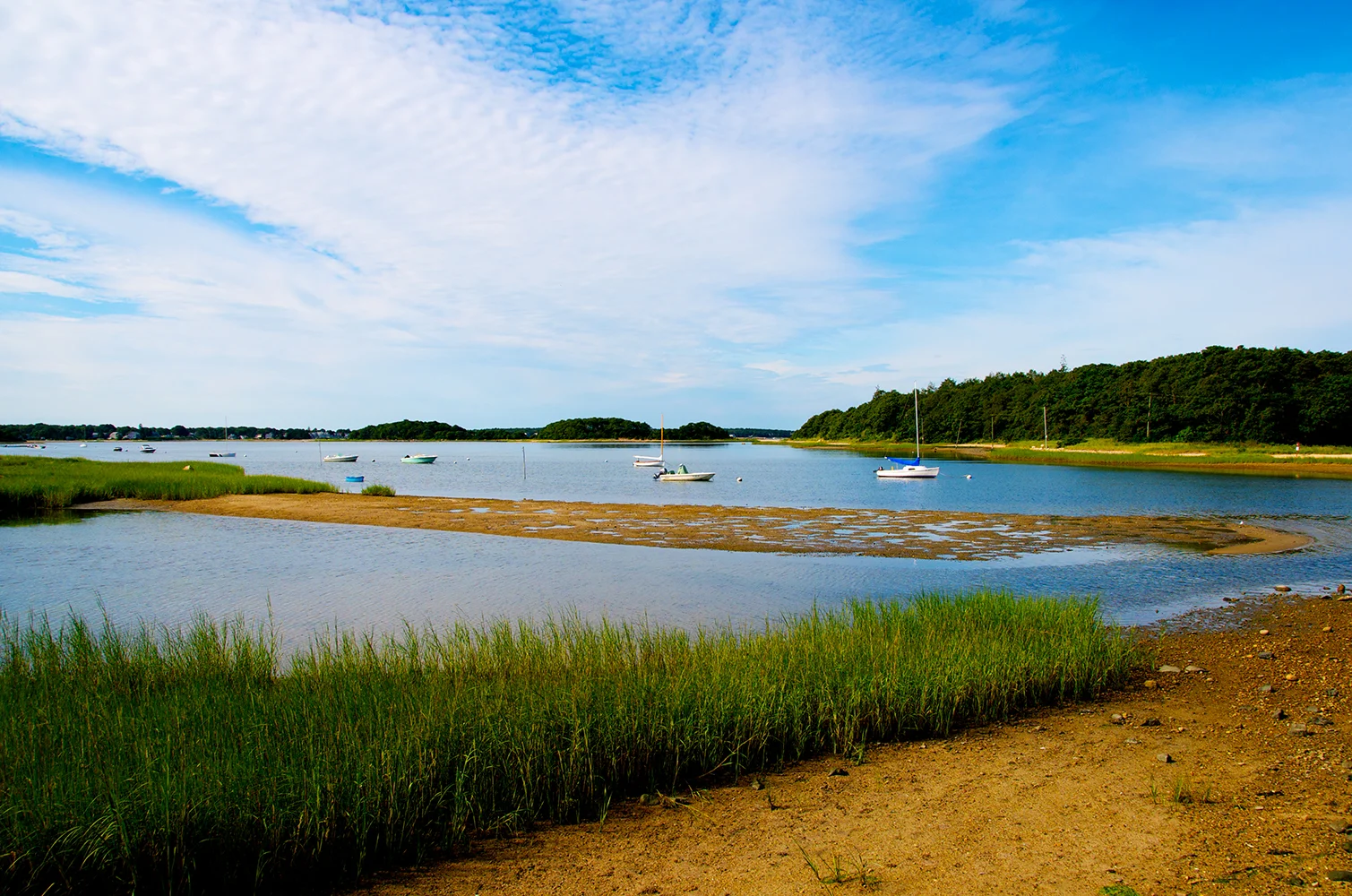 Boats on Little Bay